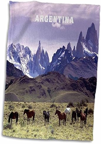 3дроза Коњи Пасат Меѓу Планините Anи Во Аргентина-Крпи