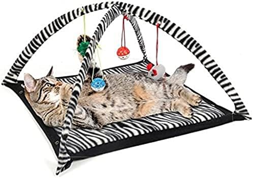 WZHSDKL Смешни мачки играат шатор со висечки топчести играчки топки мачки кревет шатор за вежбање, вежбање активност, играјќи