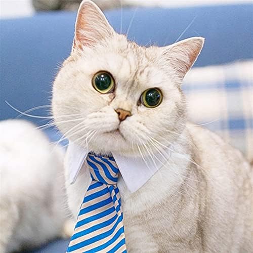 Домашно милениче вратоврска домашно куче мачка формална лак вратоврска црна и црвена јака кучиња мачки додатоци за домашно милениче