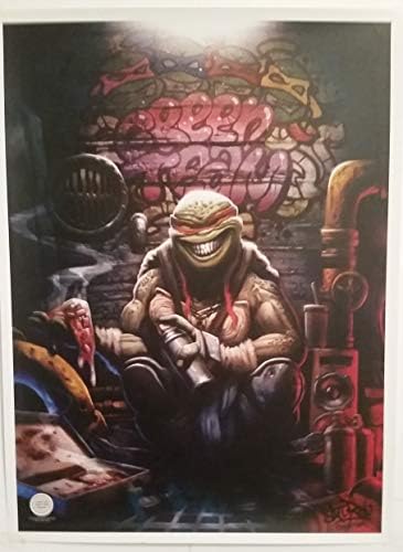 Тинејџерски мутант нинџа желки постер печати 20144